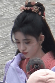 女士的法则演员表